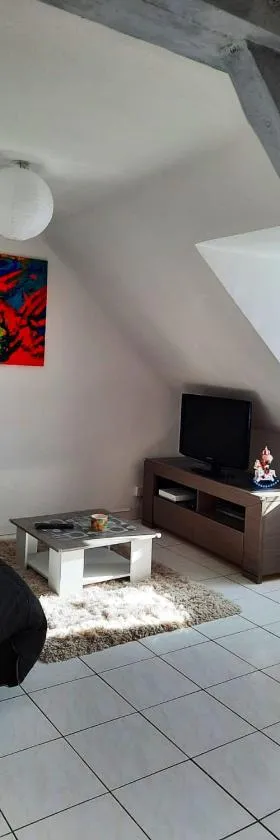 Appartement spacieux à Ingersheim avec vue sur jardin, 100 m²，位于安热尔桑的酒店