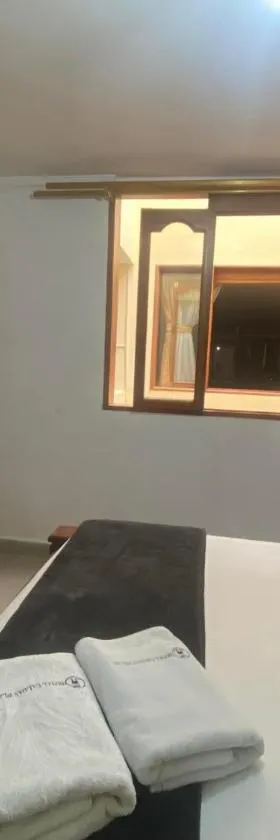 Hotel Caldas Plaza，位于Caldas的酒店