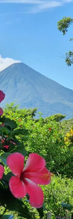 El Encanto Garden Hotel，位于Santa Cruz的酒店