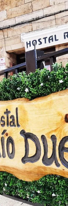 Hostal Rio Duero，位于莫利诺斯德杜埃罗的酒店