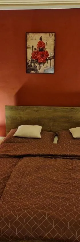 Mátyás Apartman，位于塔塔的酒店