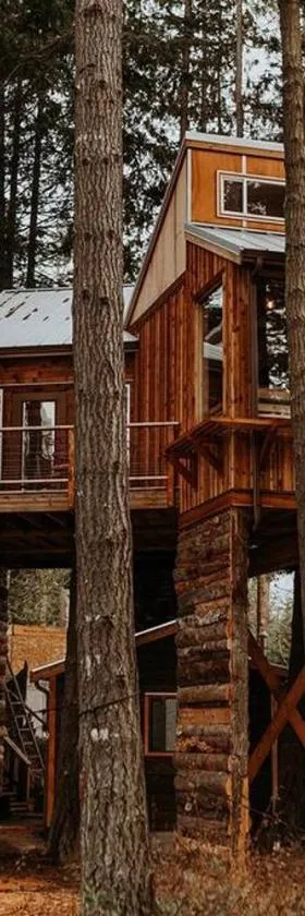 Treehouse on the Water -Eagles Nest-20 ft high，位于安吉利斯港的酒店