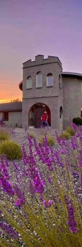 Lavender Castle，位于塞奎姆的酒店