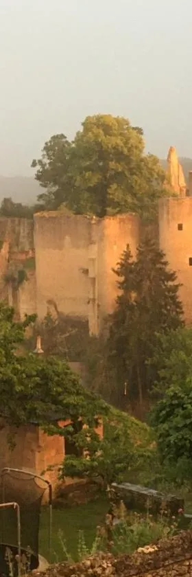 Chez Fred avec vue sur le Château，位于Angles-sur-lʼAnglin的酒店