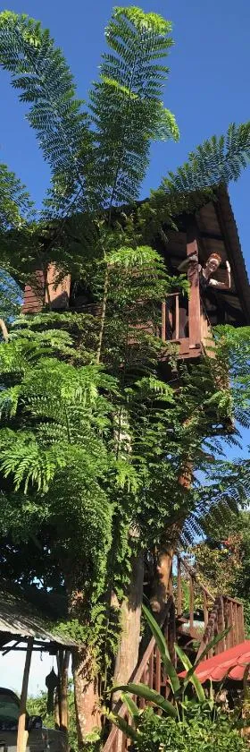 Mae Chan Treehouse with swimming pool，位于湄善的酒店