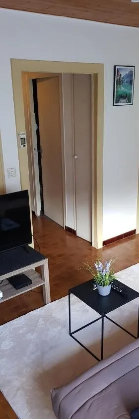 grand studio dans une résidence prive avec une cuisine et salle de bain séparé un parking gratuit et une magnifique vue sur les montagness，位于Marnaz的酒店