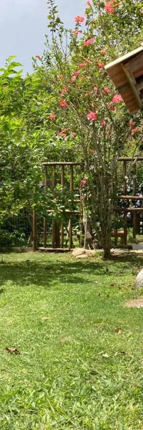 SURF PARADISE apartamentos，位于皮涅拉的酒店