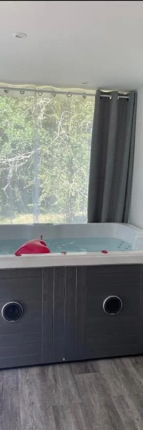 Charmant chalet cocooning avec Jacuzzi，位于Arthon的酒店