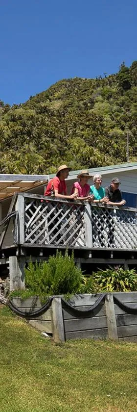 Driftwood Cottage - Hot Tub in Punakaiki Village，位于普纳凯基的酒店