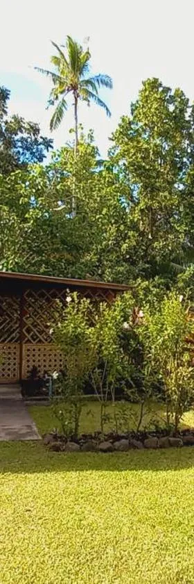 Bat Tree Cottages，位于Agoho的酒店
