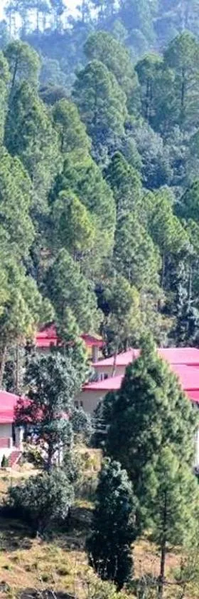 Majkhali Woods, Ranikhet, By Himalayan Eco Lodges，位于拉尼凯特的酒店