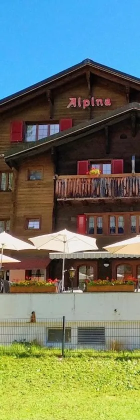 阿尔皮纳酒店，位于洛伊克巴德的酒店