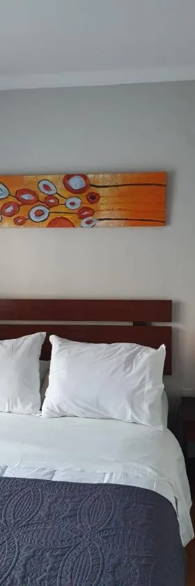 德里奥旅馆，位于康塞普西翁的酒店