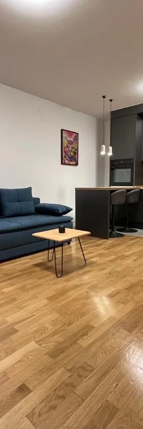 Apartmani Paula，位于Donja Bistra的酒店