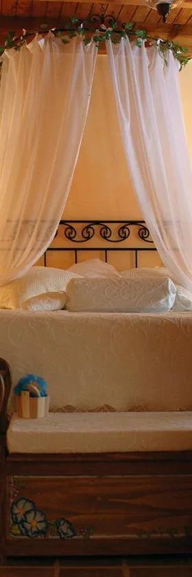 Casa Rural El Cañico，位于Otero de Bodas的酒店