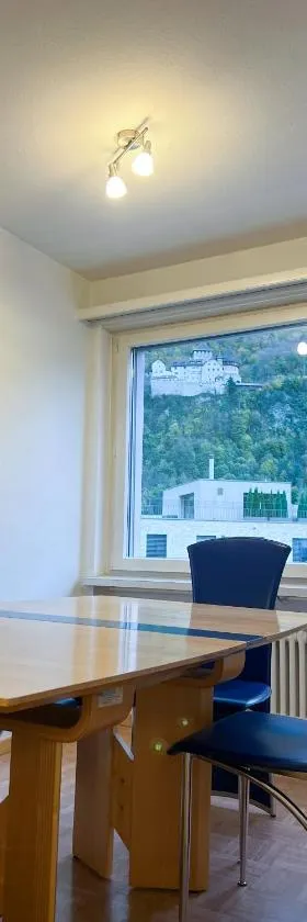 Schöne grosse Attika-Wohnung im Zentrum von Vaduz inkl. Parkplatz，位于瓦杜兹的酒店