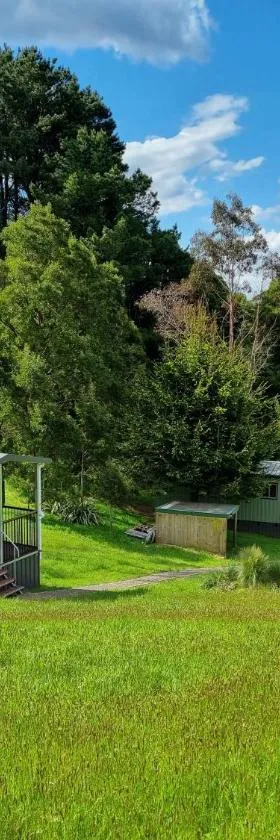 Cozy Otways Accommodation，位于Beech Forest的酒店