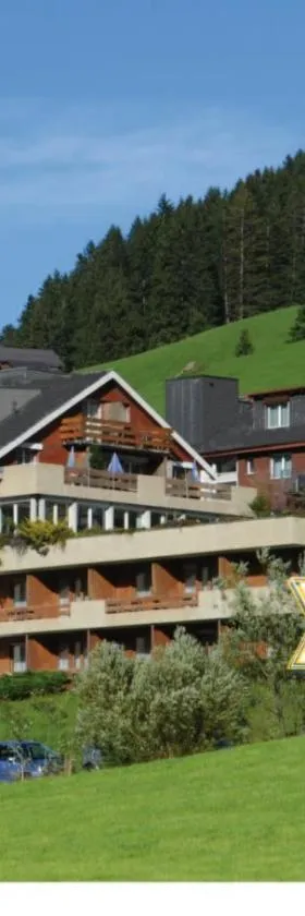 Ferien- und Familienhotel Alpina Adelboden，位于阿德尔博登的酒店