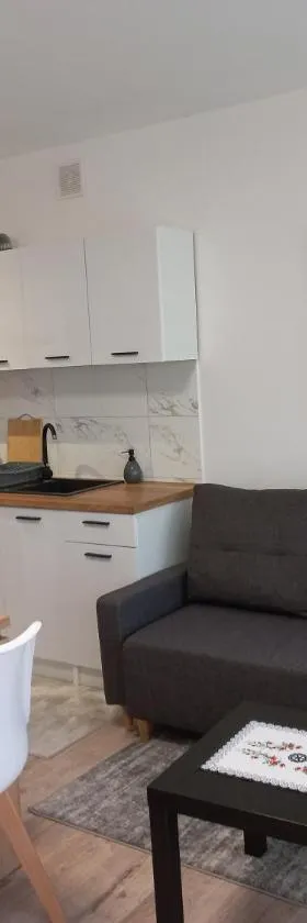 Apartament River Skierniewice，位于斯凯尔涅维采的酒店