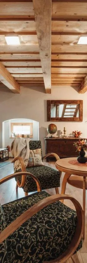 ČÁKYHO KÚRIA - mezonetový apartmán s krbom a saunami，位于斯米扎尼的酒店