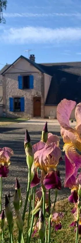 Les Logis du Breuil，位于Marchéville的酒店