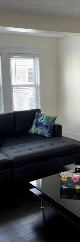 Modern Three Bedroom Condo - Boston，位于Stoneham的酒店