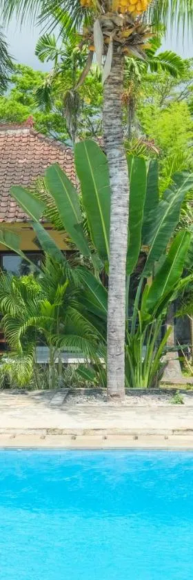 RedDoorz at Tanjung Alam Hotel Lovina，位于布莱伦的酒店