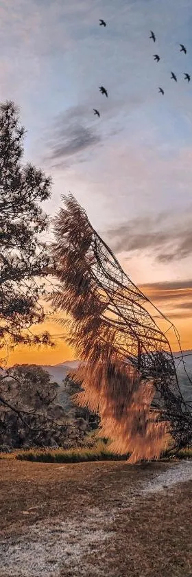 Uaná Etê EVEN GLAMPING Experiências de Charme，位于保罗工程师镇-迪弗隆廷的酒店