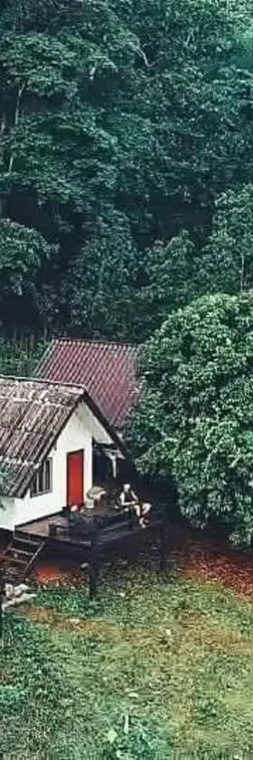 Jungle guest house，位于湄宏颂的酒店