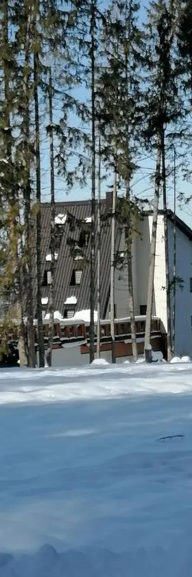 Planinska Kraljica，位于Gornje Pale的酒店