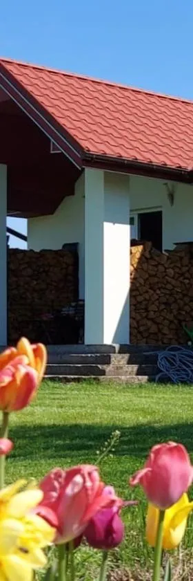Wygodny Dom na Ponidziu z Basenem，位于Wiślica的酒店