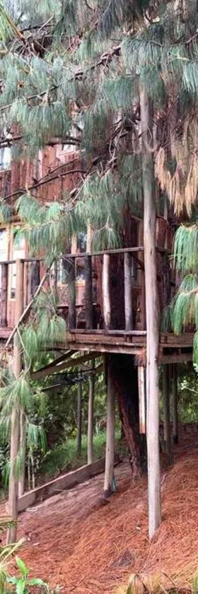 Cabin at Blueberry Farm，位于苏巴乔克的酒店