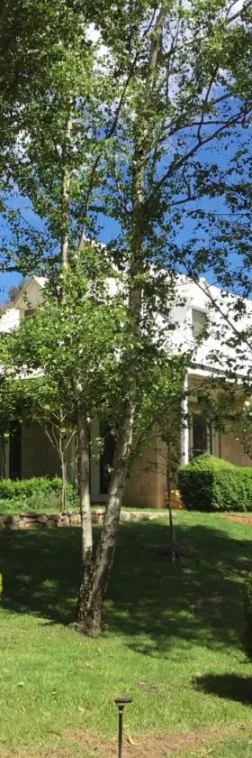 Beechworth House，位于比奇沃斯的酒店