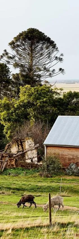 Tarndwarncoort Homestead，位于Warncoort的酒店
