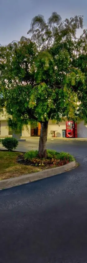 Motel 6 Jeffersonville, IN，位于杰斐逊维尔的酒店