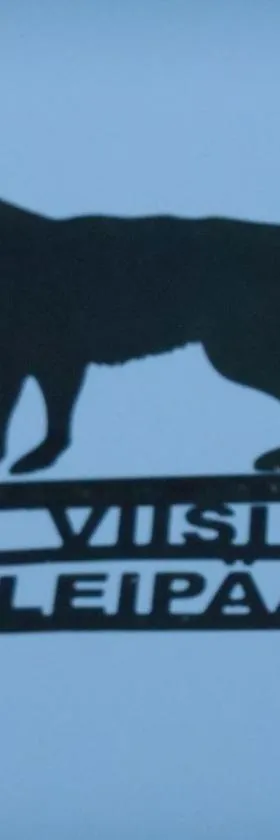 Viisi Leipää，位于Tokrajärvi的酒店