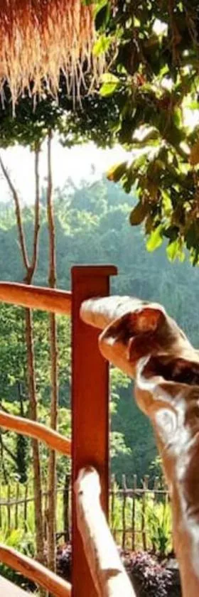 Dreamy Eco Tree House by 7 Waterfalls，位于Ambengan的酒店