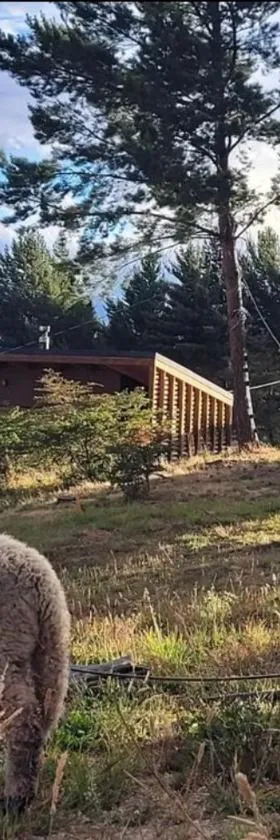 Turismo y Cabañas Dragon de La Patagonia，位于科克拉内的酒店