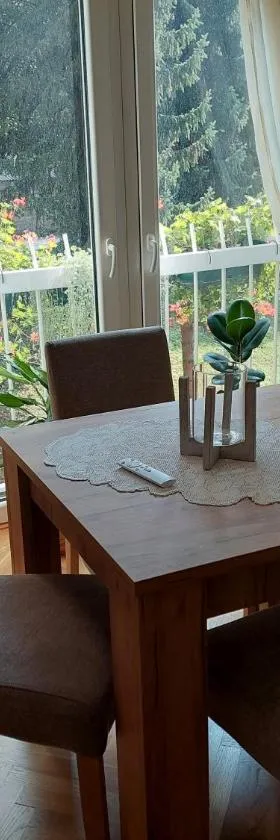 Sevojno Studio，位于Sevojno的酒店