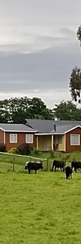 Cabañas Maullin, Las Chilcas，位于Maullín的酒店