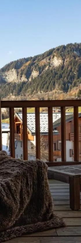 12 mn Megeve studio confort，位于弗吕梅的酒店