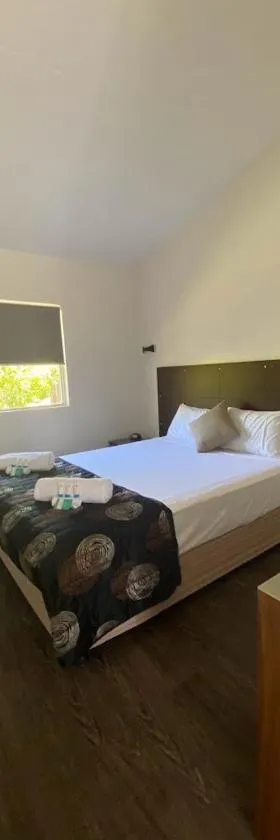 煤炭与牛汽车旅馆，位于Moura的酒店