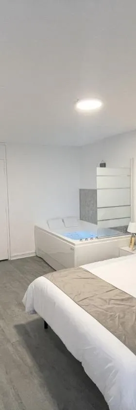 Le Corbusier - Cosy & SPA - Appartement，位于菲尔米尼的酒店