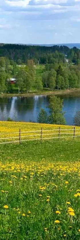Appartement in Jämtland bij Gusto Stables ...，位于Föllinge的酒店