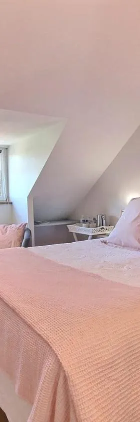 L'araukaria，位于Tressignaux的酒店