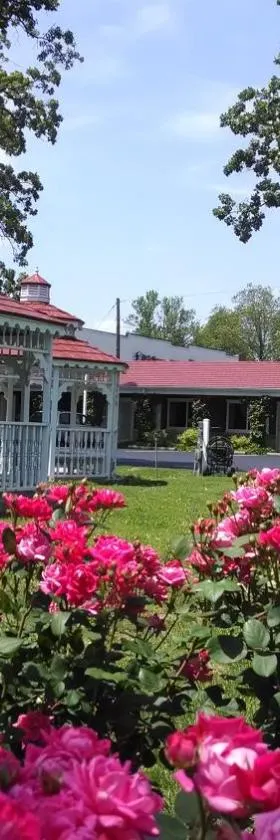 Murray Inn and Art Gallery，位于穆雷的酒店