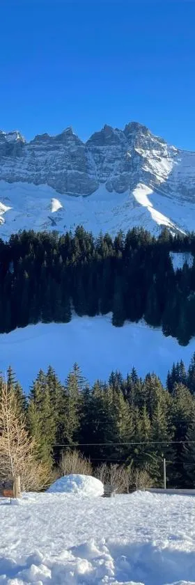 Mountain River Appart，位于瓦尔·蒂利兹的酒店
