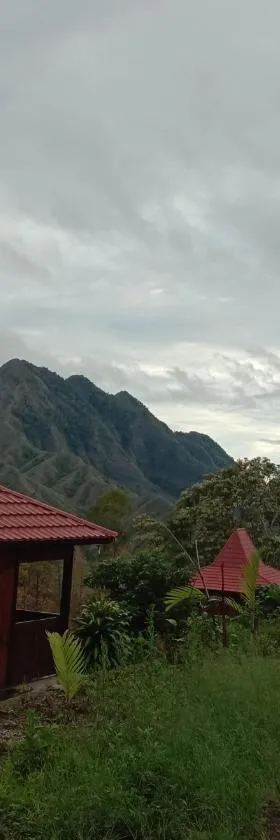 Home stay wolokoro ecotourism，位于Bajawa的酒店
