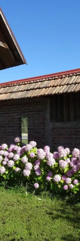 Cabañas Parque Salto del Laja，位于El Manzano的酒店