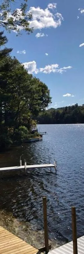 Pet-friendly Cabin with Dock, Firepit, BBQ，位于Newaygo的酒店